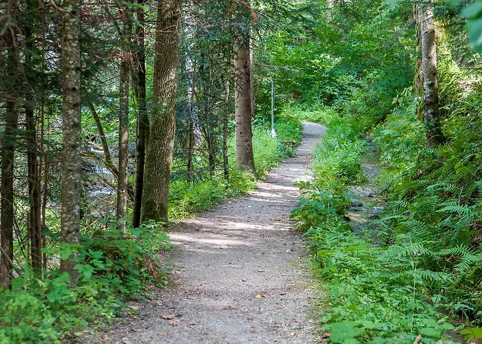 호텔 Florianihof 3*